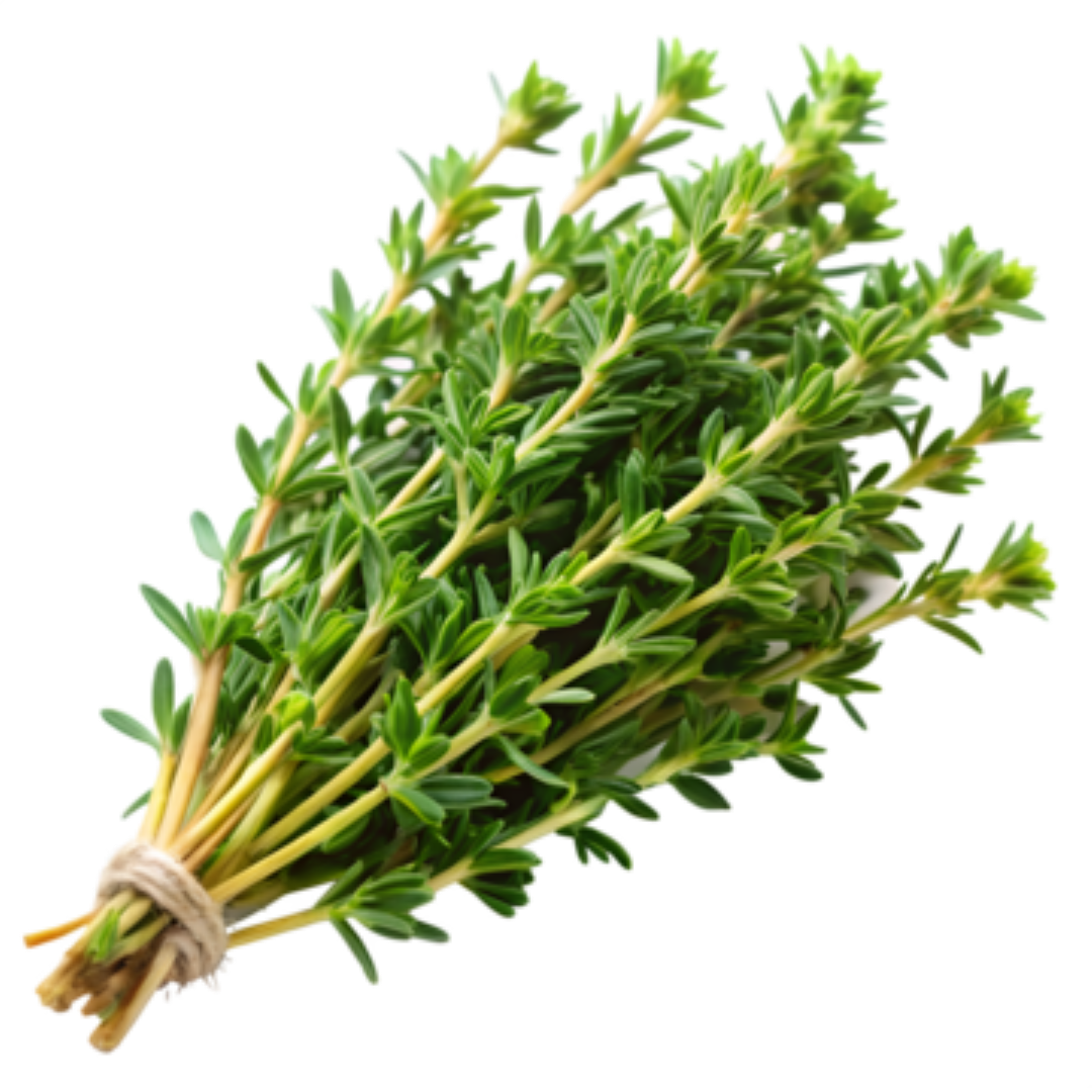 AAA FRESH THYME 50G